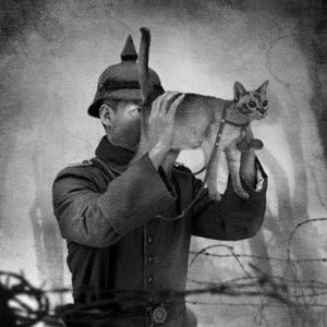 Meet your Posher, Mike